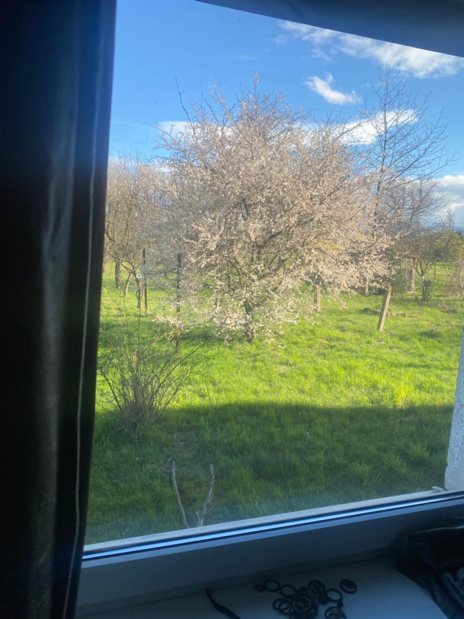 Apartamenty Ciukaj Paczkow Dış mekan fotoğraf